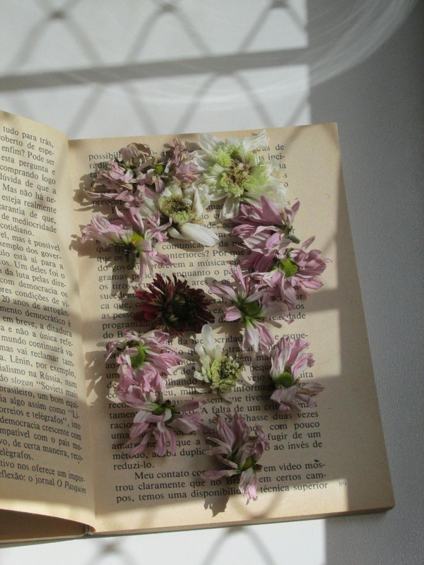 Pressed dried flowers arranged on the pages of an open vintage book — soft editorial palette